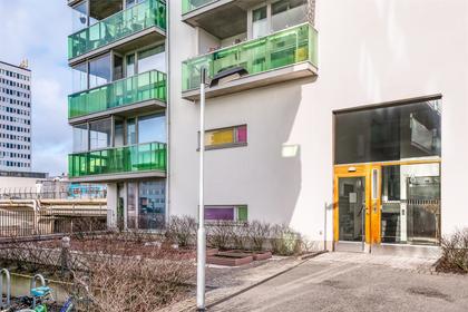 Bild av närområdet