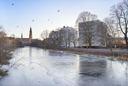 Bild av närområdet