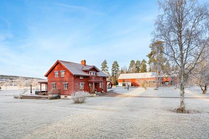 Bild av närområdet