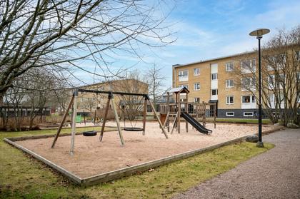 Bild av närområdet