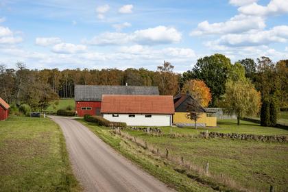 Bild av närområdet