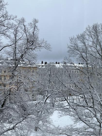 Illustrerad karta över fastigheten eller området