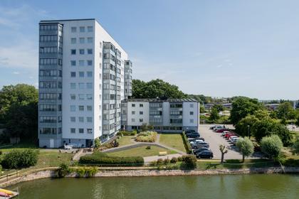 Bild av närområdet