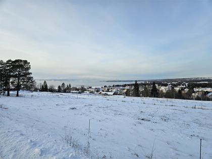 Bild av närområdet