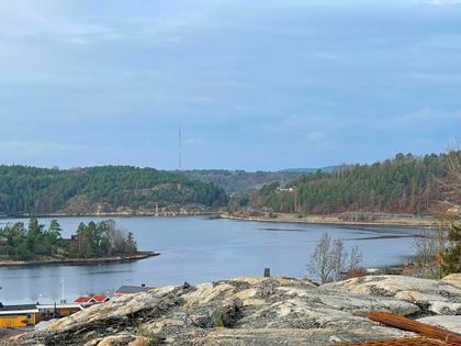 Bild av närområdet