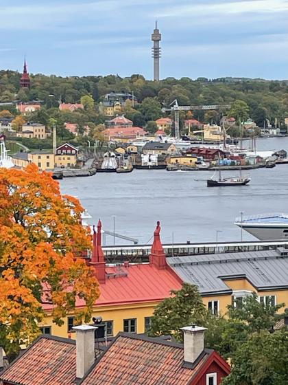 Bild av närområdet