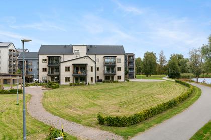 Bild av närområdet