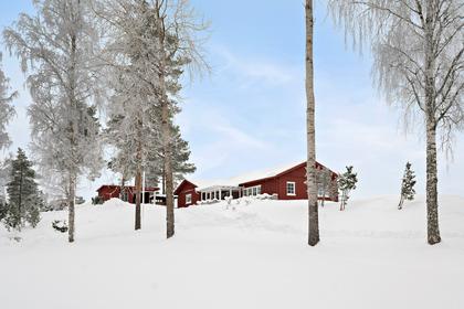 Bild av närområdet