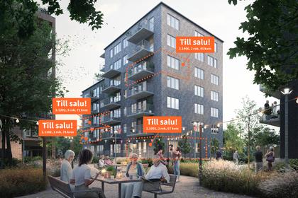 Bild av närområdet