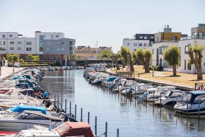 Bild av närområdet