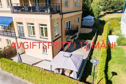 Bild av närområdet