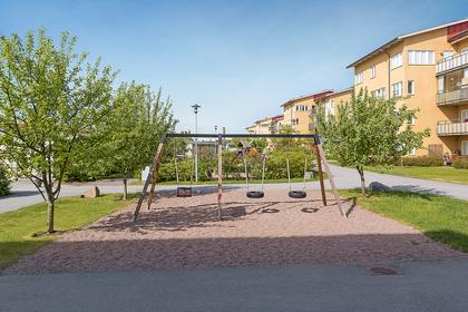 Bild av närområdet