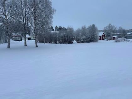 Bild av närområdet