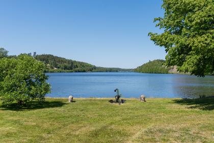 Bild av närområdet