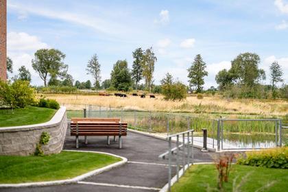 Bild av närområdet