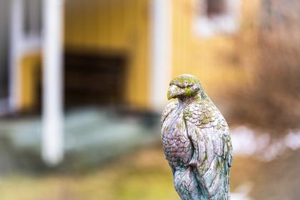 Bild av närområdet