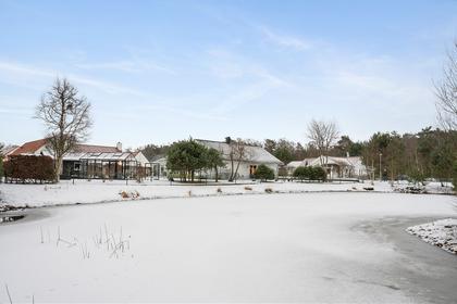 Bild av närområdet