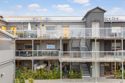 Bild av närområdet