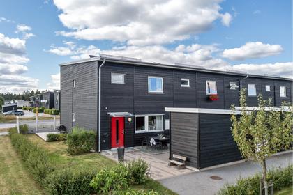 Bild av närområdet