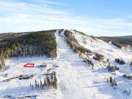 Bild av närområdet