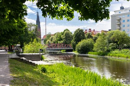 Bild av närområdet