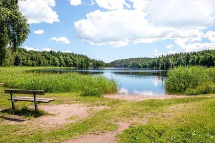 Bild av närområdet