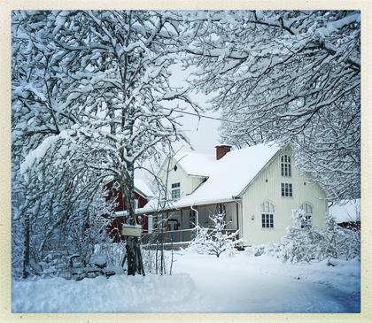 Illustrerad karta över fastigheten eller området