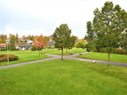 Bild av närområdet