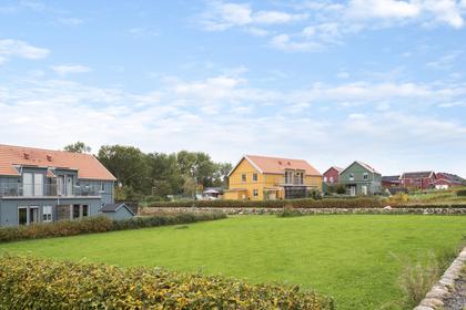 Bild av närområdet