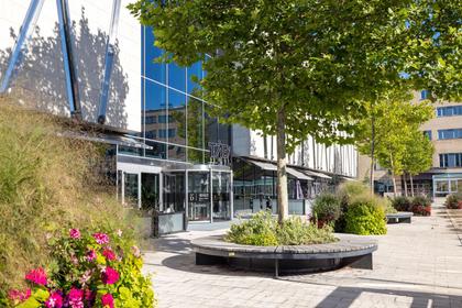 Bild av närområdet