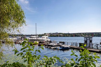 Bild av närområdet