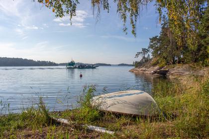 Bild av närområdet