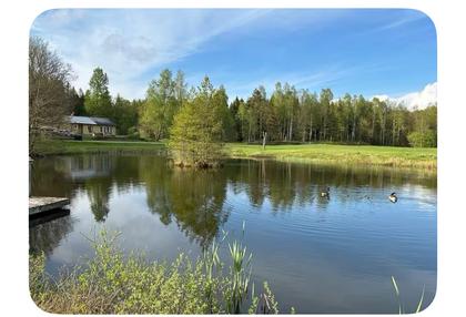 Bild av närområdet