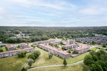 Bild av närområdet