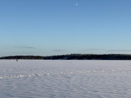 Bild av närområdet