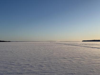 Bild av närområdet