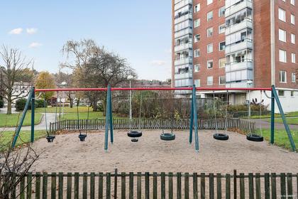 Bild av närområdet