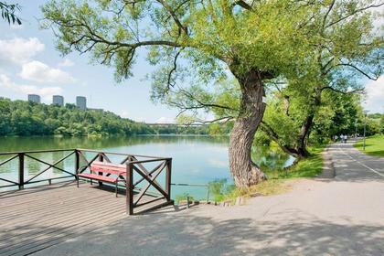 Bild av närområdet