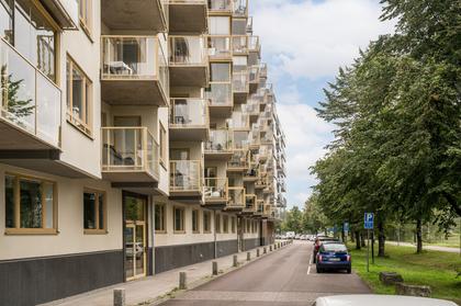 Bild av närområdet