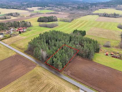 Bild av närområdet