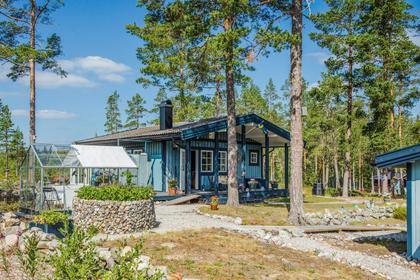 Bild av närområdet