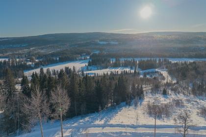Bild av närområdet