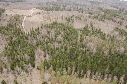 Illustrerad karta över fastigheten eller området