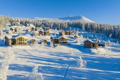 Bild av närområdet