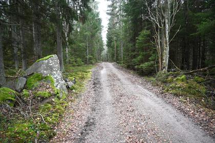 Bild av närområdet