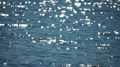 Illustrerad karta över fastigheten eller området