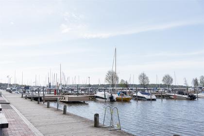 Bild av närområdet