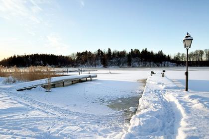 Bild av närområdet