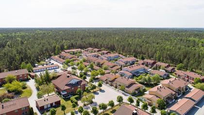 Bild av närområdet