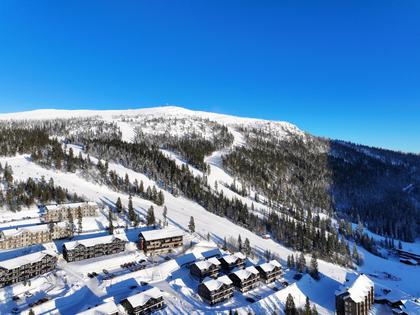 Bild av närområdet